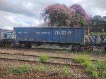 RUMO HNR-343055-3